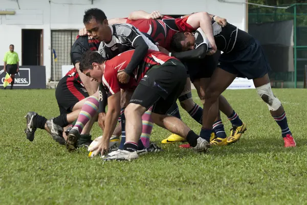 Les joueurs de rugby en action — Photo