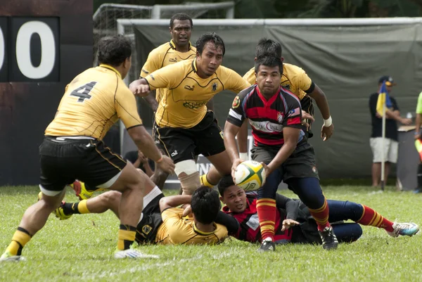 Rugby Players in Action — Stock Photo, Image
