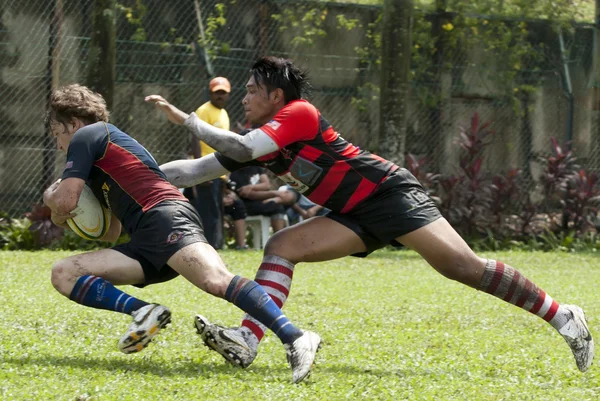 Jugadores de rugby en acción — Foto de Stock