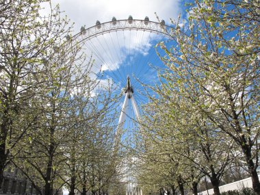 London eye clipart