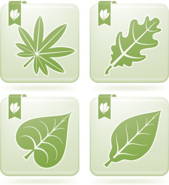 sonbahar yaprakları