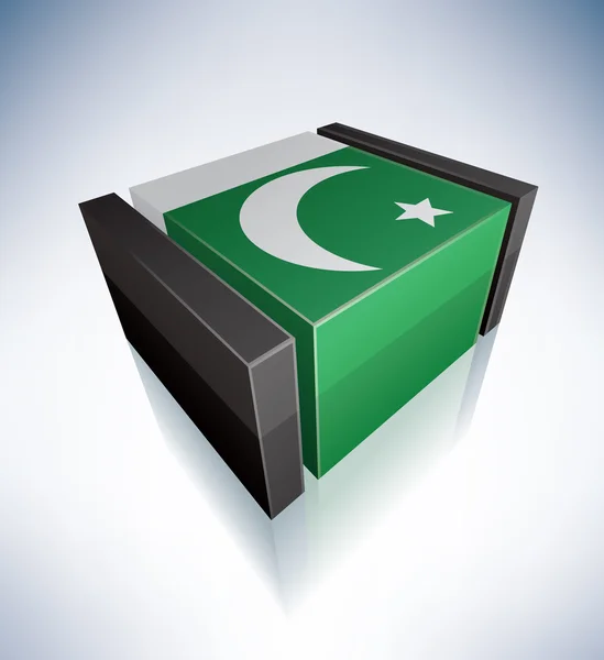 3D pakistan bayrağı — Stok Vektör