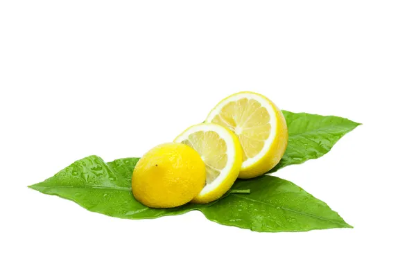 Frische Zitrone in Scheiben geschnitten auf grünen Blättern — Stockfoto