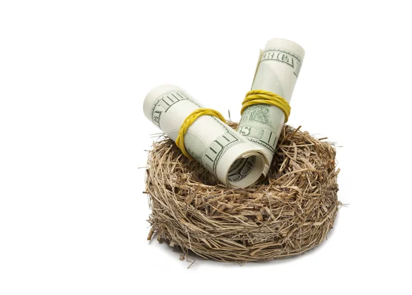 Rolos de dinheiro em ninho em branco — Fotografia de Stock