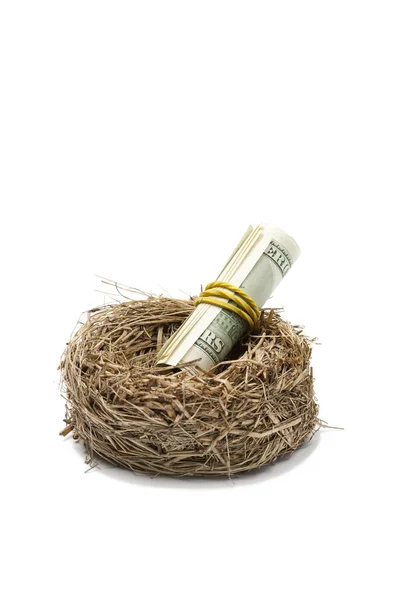 Деньги в гнезде на белом — стоковое фото