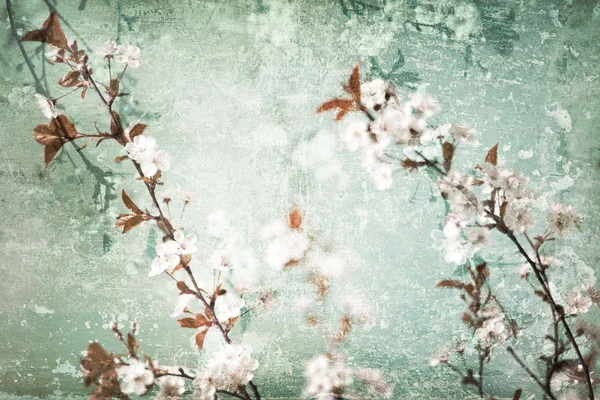 Abstrait coloré lumineux fond floral orné de fleurs — Photo