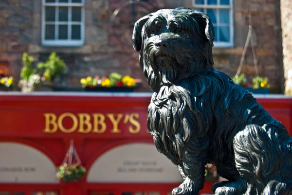 stock image Greyfriar's Bobby