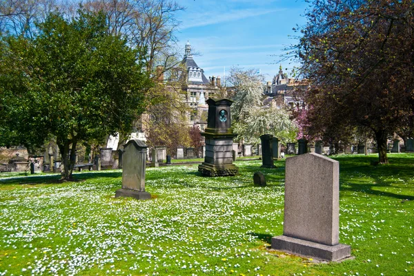 Frati grigi Kirkyard — Foto Stock