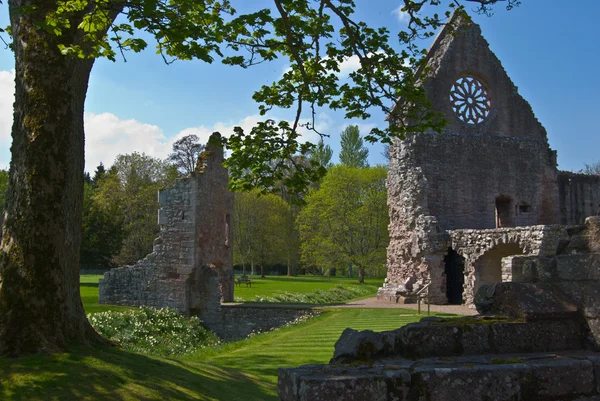 Dryburgh Abbey — Stok fotoğraf