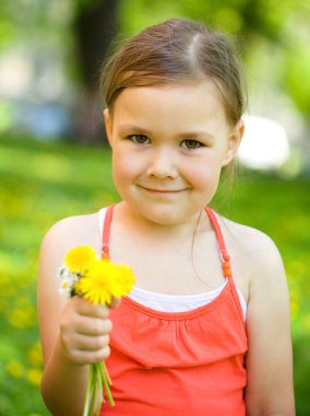 dandelions bir avuç küçük kızı