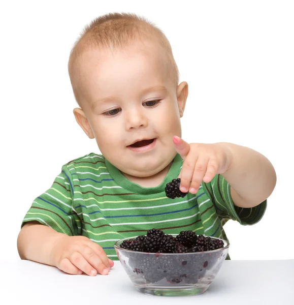 Веселый маленький мальчик ест ежевику — стоковое фото