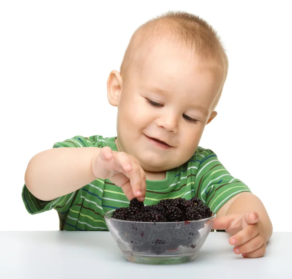 Niño alegre está comiendo zarzamora —  Fotos de Stock
