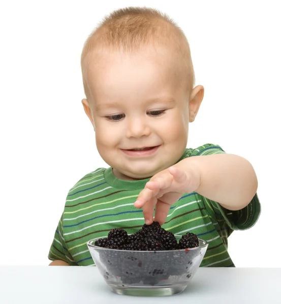 かわいい陽気な男の子はブラックベリーを食べています。 — ストック写真