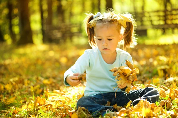 Söt liten flicka spelar med blad i park — Stockfoto