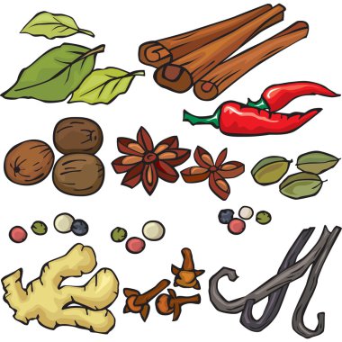 Spices icon set clipart