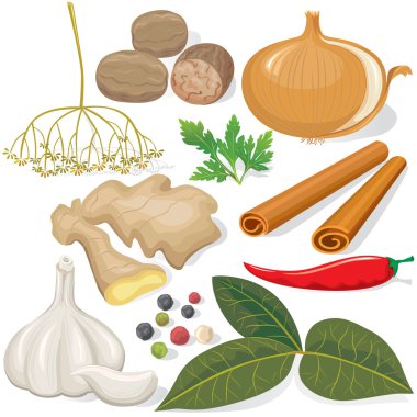 Spices and vegetables for cooking clipart