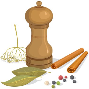 biber Çalkalayıcılar, defne yaprağı, dereotu, tarçın