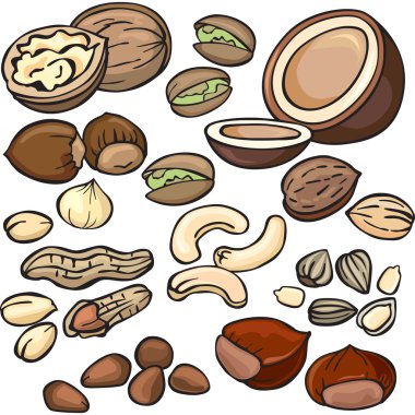 Nuts icon set clipart