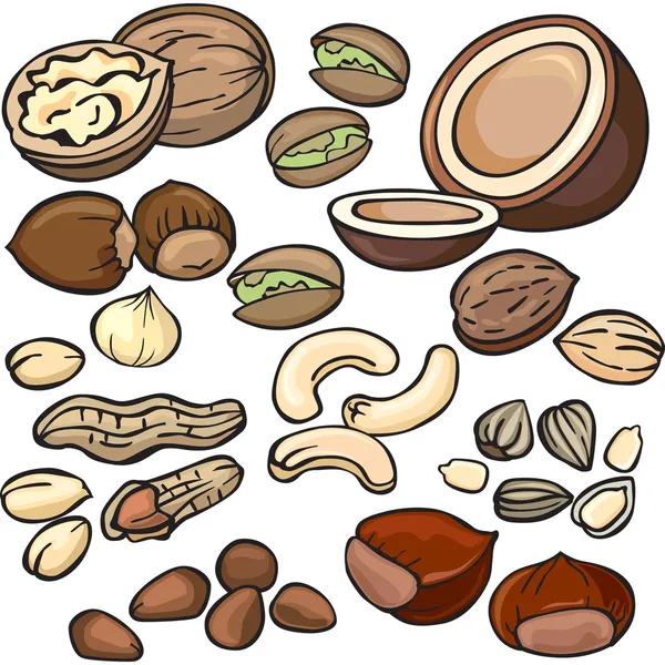 Sada ikon ořechy — Stockový vektor