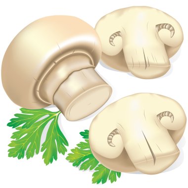 Field mushrooms and parsley clipart
