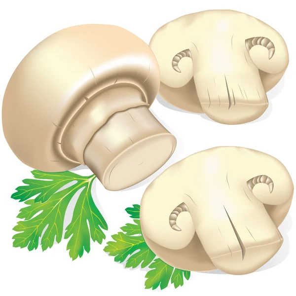 字段的蘑菇和欧芹 — 图库矢量图片