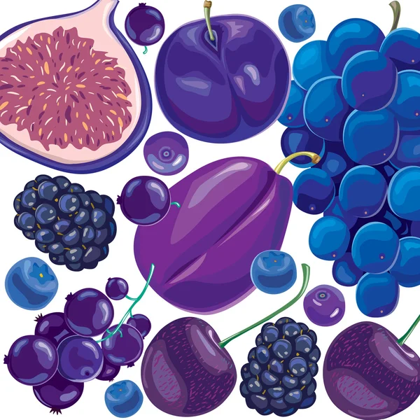Mix blå och lila frukter och bär — Stock vektor