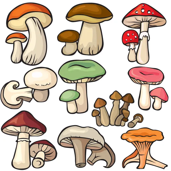 Mushroom forest set on a white background — Stock Vector