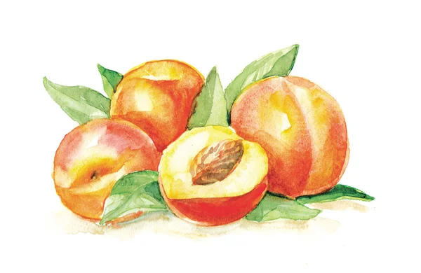 Grupp av persikor — Stockfoto
