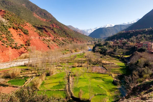 Ourika valley green fields Royalty Free Stock Photos