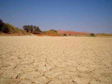 Dry lakebed clipart