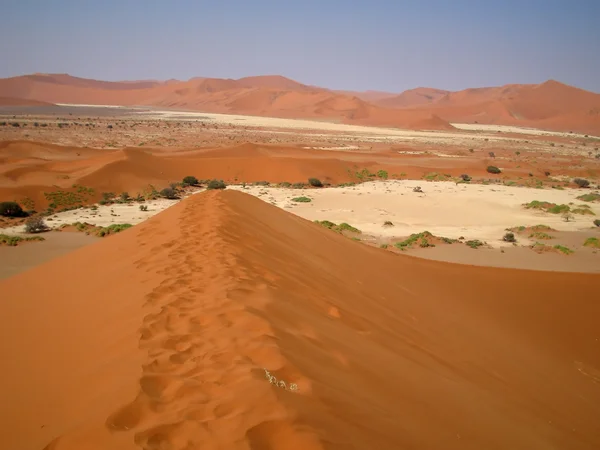 Sur la crête de la dune — Photo