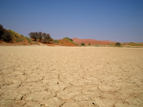 stock image Dry lakebed