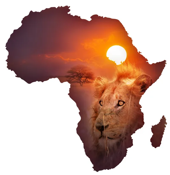 Afrika yaban hayatı harita — Stok fotoğraf