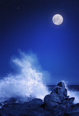 ay ve deniz manzarası, gece