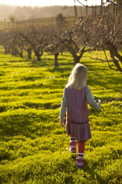 stock image Little girl outdoors