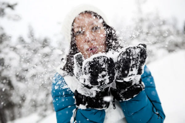 Blowing snow — Stock Photo, Image