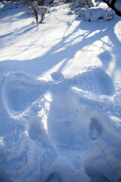Angel de nieve —  Fotos de Stock