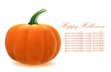 Vector realistic pumpkin clipart