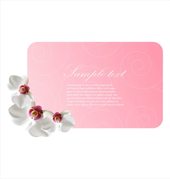 蘭の花を持つベクトル華やかなグリーティング カード — ストックベクタ