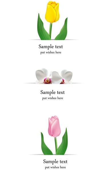 Conjunto vectorial de tarjetas de felicitación con flores — Vector de stock