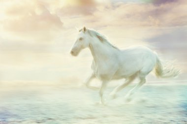 Fantasy white horse clipart