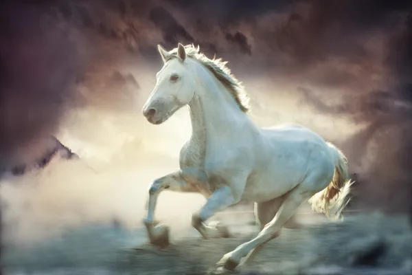 Fantasy häst — Stockfoto