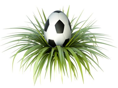 Soccer egg clipart