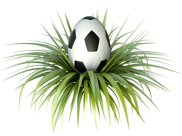 Soccer egg — Stock Photo, Image