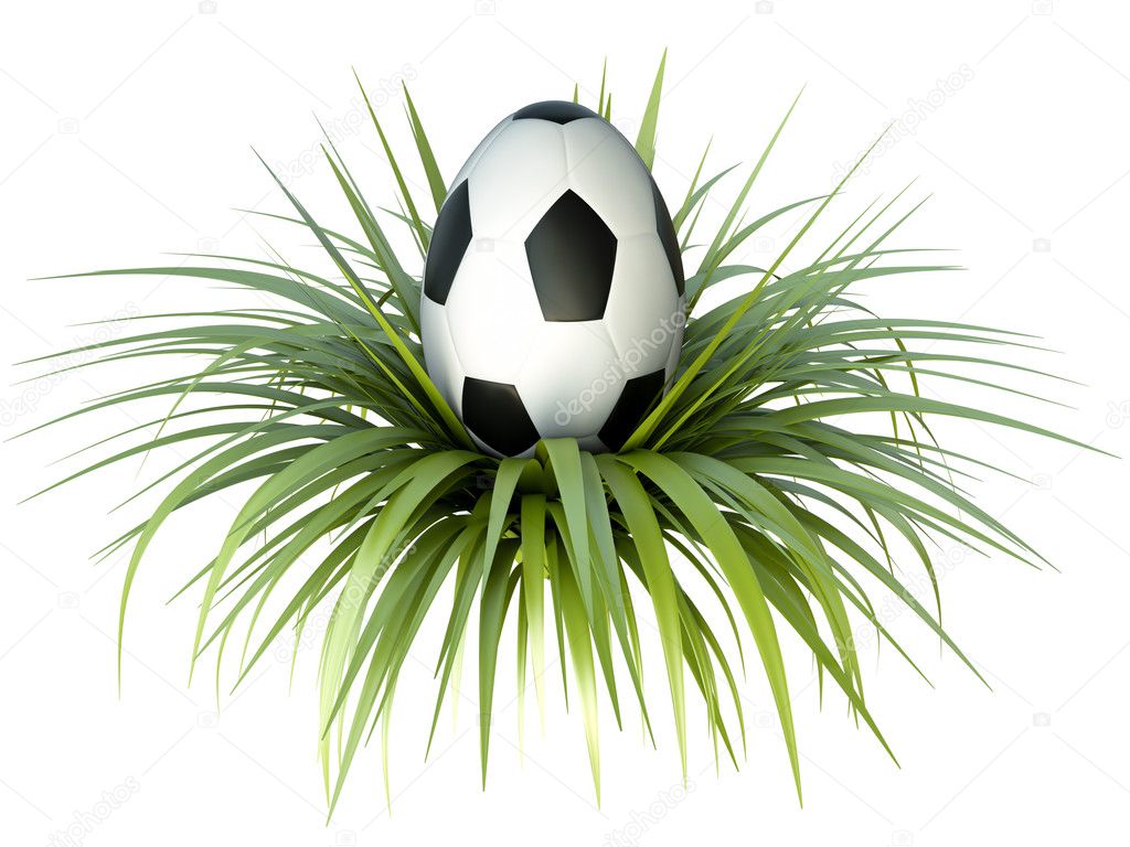 Soccer egg