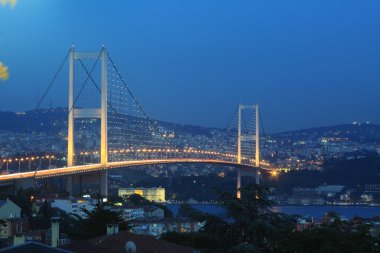 Bosphorus Bridge clipart