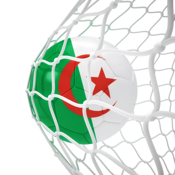 Algerian soccer ball inside the net — Stock Photo, Image