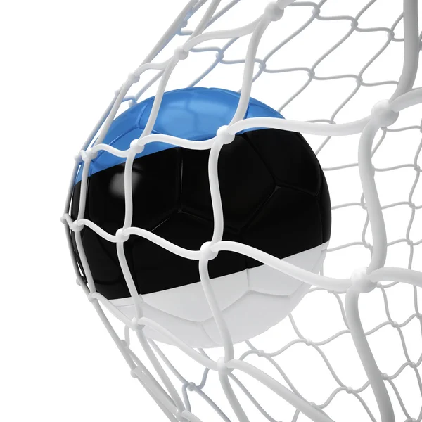 Estonian soccer ball inside the net — Stock Photo, Image