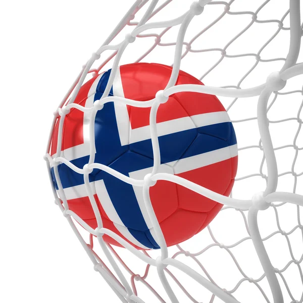 Bola de futebol norueguesa dentro da rede — Fotografia de Stock