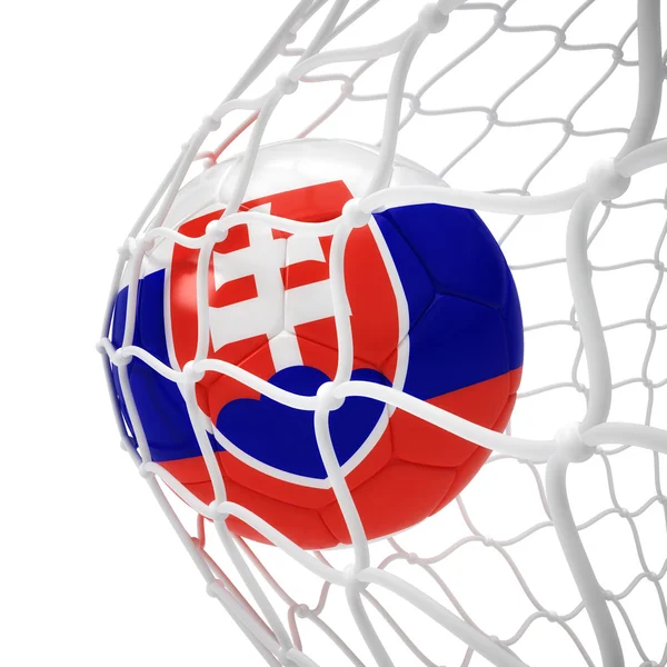 Bola de futebol eslovaca dentro da rede — Fotografia de Stock